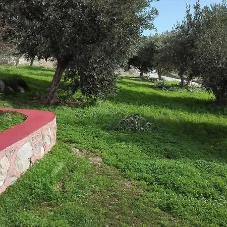 Country Seaview ! Homestay Posidhonia (Syros)